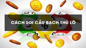 Bach Thu Lo Hom Nay